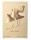 Billie Eilish Ladies Eilish Eau de Parfum 100ml