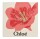 Chloe Nomade Geschenkset Eau de Parfum 50ml/Body Lotion 100ml