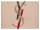 YSL Black Opium Geschenkset Eau de Parfum 50ml/#01 Mini Lash Clash 2ml/Pouch