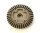 Elektro Autos Ersatzteil: 02029 - crown gear