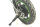 E-Scooter ca. 20 km/h schnell - 36V 350W Brushless Motor - 6.0A Akku - 12Zoll Reifen -B06