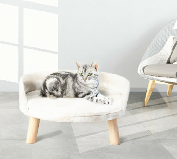 Haustier Sofa (Hund und Katze)