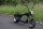 Ersatzteil: Mainboard/Elektronik für Coco Bike - Chopper CP-4 - 60V